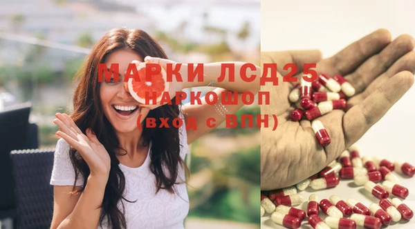 прущий лед Алзамай