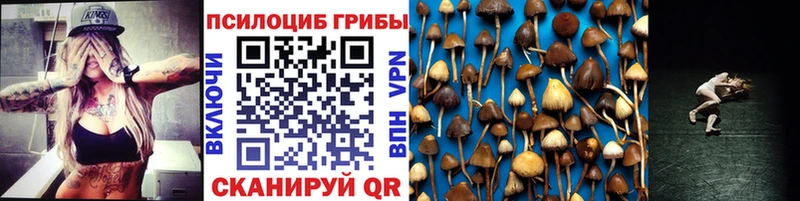площадка официальный сайт  Мирный  Галлюциногенные грибы ЛСД 