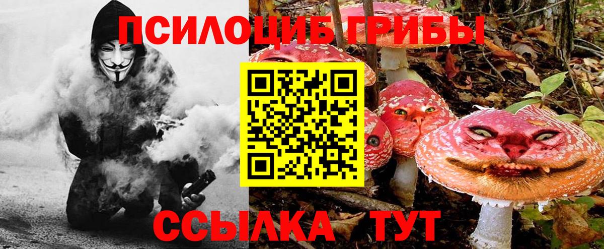 Галлюциногенные грибы прущие грибы  Вход с VPN  Мирный  Псилоцибиновые грибы Cubensis 